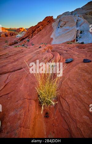 USA, United States of America, Nevada, Valley of Fire, National Park, Fire Wave Trail, Sierra Nevada, California Stock Photo
