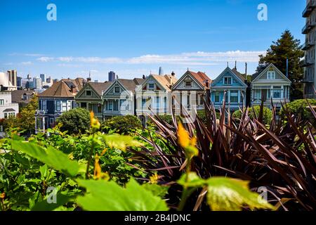 USA, United States of America, San Francisco, Victorian houses ' Painted Ladies ' , Alamo Square, Bay Area, California Stock Photo