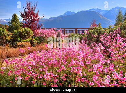 Garden terrace with autumn flowers of the Interalpenhotel, Telfs, Tirol, Austria Stock Photo