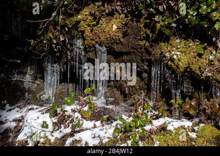 A background with moss, icicles and snow from Alum Cave Trail in the Great Smoky Mountains National Park Stock Photo