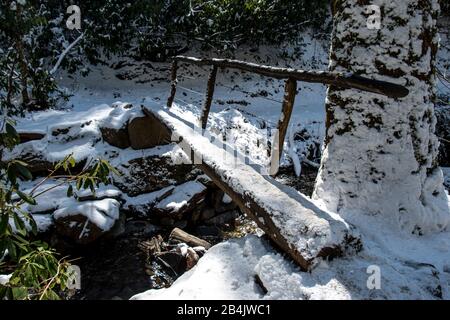 A bridge made of a single log cut in half from the Alum Cave Trail in the Great Smoky Mountains Stock Photo