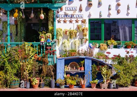 Potted plants and ceramics on house wall, village Punta Mujeres, Lanzarote, Canary Islands, Spain Stock Photo