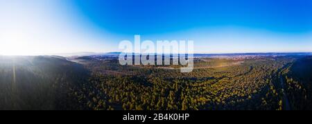 Pine forest and riparian forest, Isar, nature reserve Isarauen, Geretsried and Wolfratshausen, drone recording, Upper Bavaria, Bavaria, Germany Stock Photo