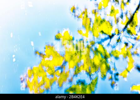 Water Surface, River, Abstract, Gradients, Reflection, Reflection, Autumn, Foliage, Braunschweig, Lower Saxony, Germany, Europe Stock Photo