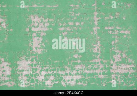 old light-colored green wall with chipped paint Stock Photo