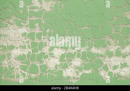 old light-colored green wall with chipped paint Stock Photo