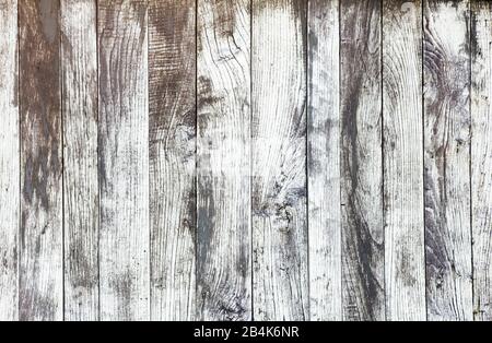 old white wooden boards, vertical boards Stock Photo