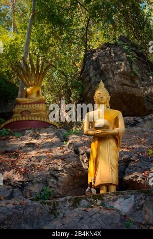 Golden statues of Buddha in the jungle, on the way to the summit of Mt Phou Si, a sacred mountain located in Luang Prabang, Laos. Stock Photo