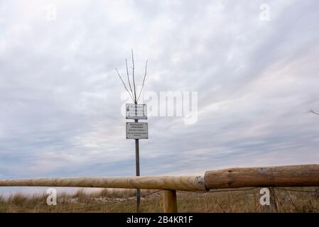 Germany, Mecklenburg-West Pomerania, Zingst, information sign in the Vorpommersche Boddenlandschaft National Park, no entry, flood protection dune Stock Photo