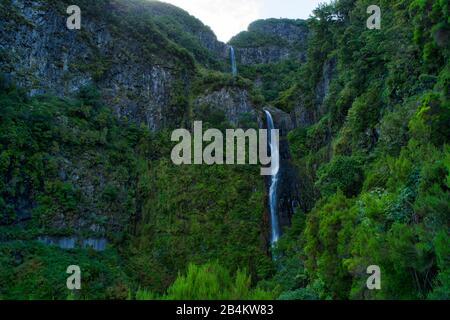 Cascata do Risco, Risco waterfall, in the laurel forest Laurisilva, Rabacal nature reserve, Madeira island, Portugal Stock Photo