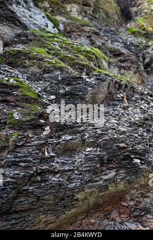 Europe, Denmark, Bornholm. In a former slate quarry on the Læså river. Stock Photo