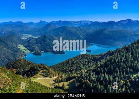 Deutschland, Bayern, Oberbayern, Tölzer Land, Kochel am See, Herzogstand, Walchensee, Blick vom Herzogstandgipfel Stock Photo