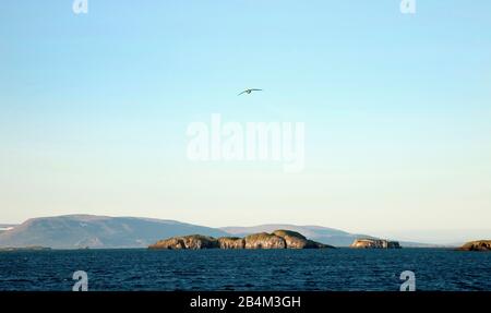 Meer, Felsen, Island, Stykkishólmur Stock Photo