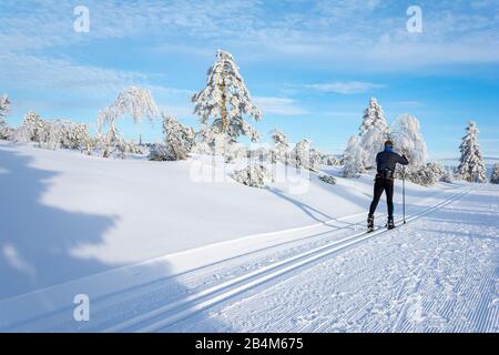 Germany, Baden-Württemberg, Black Forest, winter in the national park. Stock Photo