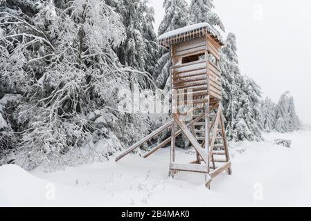 Germany, Baden-Wuerttemberg, Black Forest, Kaltenbronn, iced high seat in snow-covered winter landscape Stock Photo