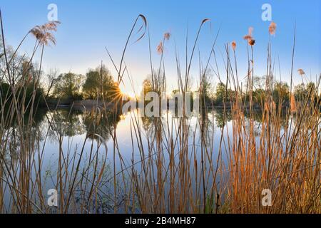 Lake Altmühlsee at sunset in spring, Muhr am See, Gunzenhausen, Franconian Lake District, Central Franconia, Bavaria, Germany Stock Photo