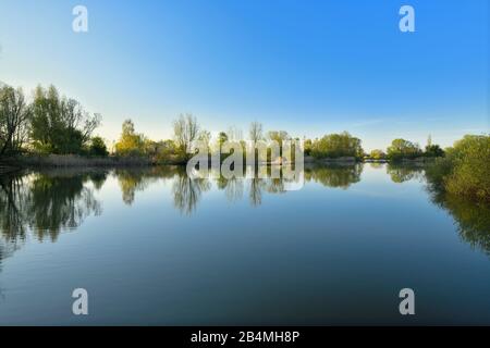 Lake Altmühlsee at sunset in spring, Muhr am See, Gunzenhausen, Franconian Lake District, Central Franconia, Bavaria, Germany Stock Photo