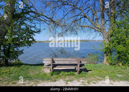 Bench on Lake Altmühlsee in spring, Muhr am See, Gunzenhausen, Franconian Lake District, Central Franconia, Bavaria, Germany Stock Photo