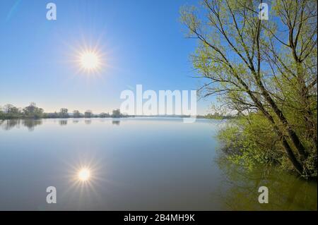 Lake Altmühlsee at sunrise in spring, Muhr am See, Gunzenhausen, Franconian Lake District, Central Franconia, Bavaria, Germany Stock Photo