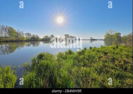 Lake Altmühlsee at sunrise in spring, Muhr am See, Gunzenhausen, Franconian Lake District, Central Franconia, Bavaria, Germany Stock Photo