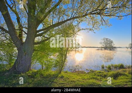 Lake Altmühlsee at sunrise in spring, Muhr am See, Gunzenhausen, Franconian Lake District, Central Franconia, Bavaria, Germany Stock Photo