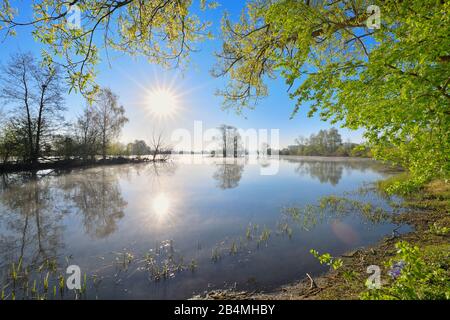 Lake Altmühlsee at sunset in spring, Muhr am See, Gunzenhausen, Franconian Lake District, Central Franconia, Bavaria, Germany Stock Photo