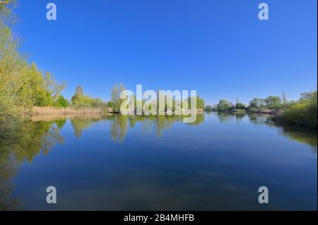 Lake Altmühlsee at sunrise in spring, Muhr am See, Gunzenhausen, Franconian Lake District, Central Franconia, Bavaria, Germany Stock Photo