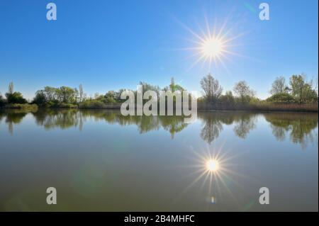 Lake Altmühlsee at sunrise in spring, Muhr am See, Gunzenhausen, Franconian Lake District, Central Franconia, Bavaria, Germany Stock Photo