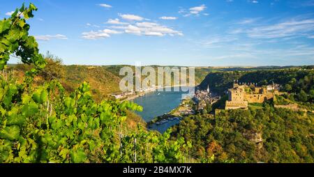 Germany, Rhineland-Palatinate, St. Goarshausen, world heritage cultural landscape Upper Middle Rhine Valley, view over vineyard on St. Goar on the Rhine with Rheinfels Castle, in the back Burg Katz, Stock Photo