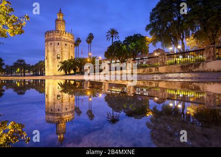 Torre del Oro in Seville, Andalusia, Spain at night Stock Photo