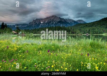 A flower meadow at Lautersee, in the background cloudy evening mood at Lautersee in Karwendel. Stock Photo