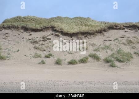 Dune landscape in summer, Hvide Sande, Ringkobing Fjord, North Sea, Midtjylland, Central Jutland, Denmark Stock Photo