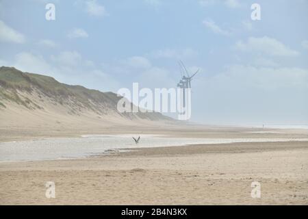 North sea beach with wind turbines in summer, Hvide Sande, Ringkobing Fjord, North Sea, Midtjylland, Central Jutland, Denmark Stock Photo
