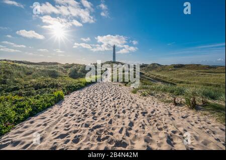 Lighthouse in dune landscape with footpath in summer, Lyngvig Fyr, Hvide Sande, Ringkobing Fjord, North Sea, Midtjylland, Central Jutland, Denmark Stock Photo