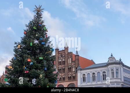 Deutschland, Mecklenburg-Vorpommern, Stralsund, Weihnachtsbaum auf dem alten Markt, historisches Wulflamhaus im Hintergrund Stock Photo