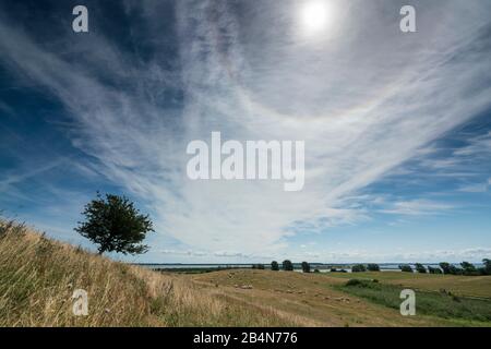 Sun halo over a single tree in the highlands of Hiddensee with beautiful clouds and sun. Light effects in summer on the island of Hiddensee and a lonely tree Stock Photo