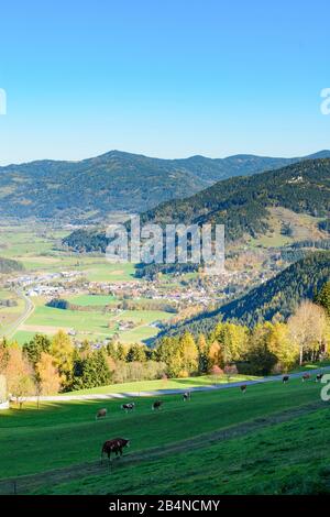Teufenbach-Katsch, valley of river Mur, meadow, cows, nature park Zirbitzkogel-Grebenzen in Austria, Styria, Murau-Murtal Stock Photo