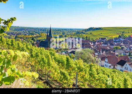 Birkweiler, vineyard, view to village Birkweiler at Deutsche Weinstraße ( German Wine Route ), Rhineland-Palatinate, Germany Stock Photo
