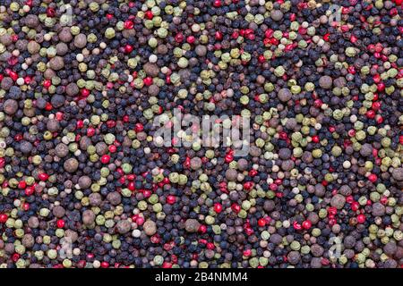 Mixed peppercorns pattern. Green, pink, black, white and pimento peppercorns Stock Photo