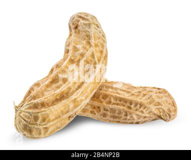 peanut isolated on white, peanut clipping path all focus Stock Photo