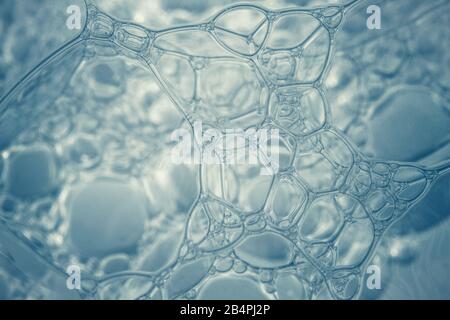 Macro shots soapy water bubbles close-up Stock Photo