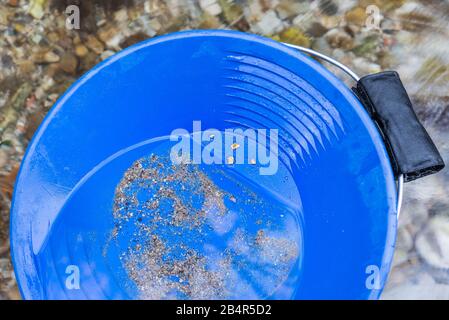 Very rare Italian native gold nuggets, gold panning Stock Photo