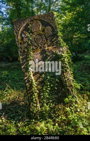Ivy-covered gravestone at New Jewish Cemetery in Przemysl, Malopolska, Poland Stock Photo
