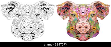 Zentangle pig head. Hand drawn decorative vector illustration Stock Vector