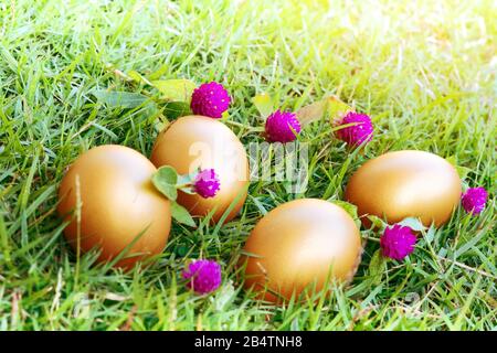Easter egg ! happy colorful Easter sunday hunt holiday decorations Easter concept backgrounds Stock Photo