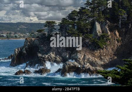 Looking across Cypress Cove to Big Dome, with Monterey cypress, Hesperocyparis macrocarpa, trees; Point lobos state reserve, California Stock Photo