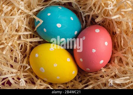 Colorful polka dot Easter eggs in wooden nest, greeting card, top view Stock Photo