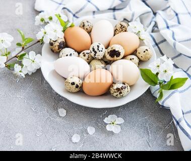 Plate with chicken eggs and spring blossom on a concrete background Stock Photo