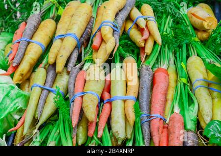 Fresh green cabbage, rainbow carrots and spinach in rubber bands at food store in America Stock Photo