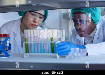 Horizontal medium close up portrait of two professional medical scientists looking at tests-tubes with liquids of different colours Stock Photo